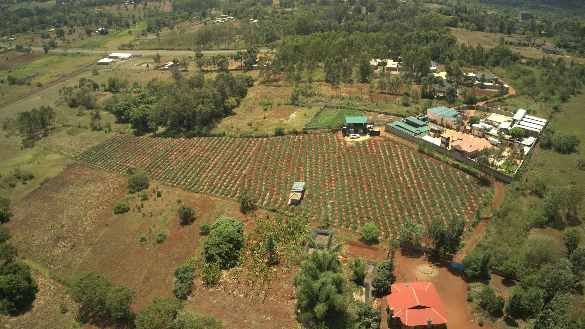 Support the Farm Behind Your Coffee